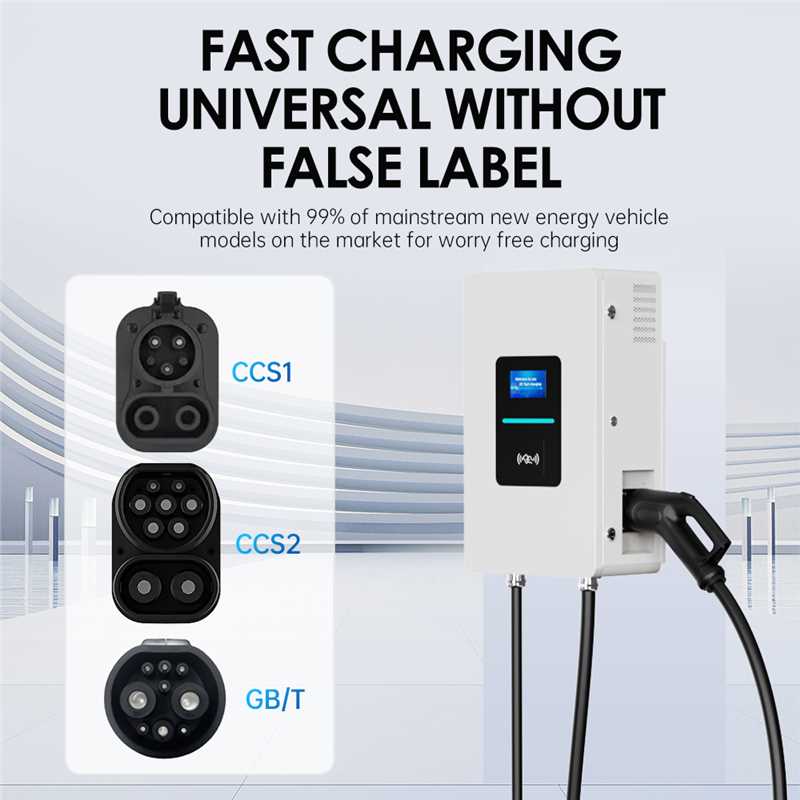 Cargador Rápido para Vehículos - Ev Charger reseña y precio